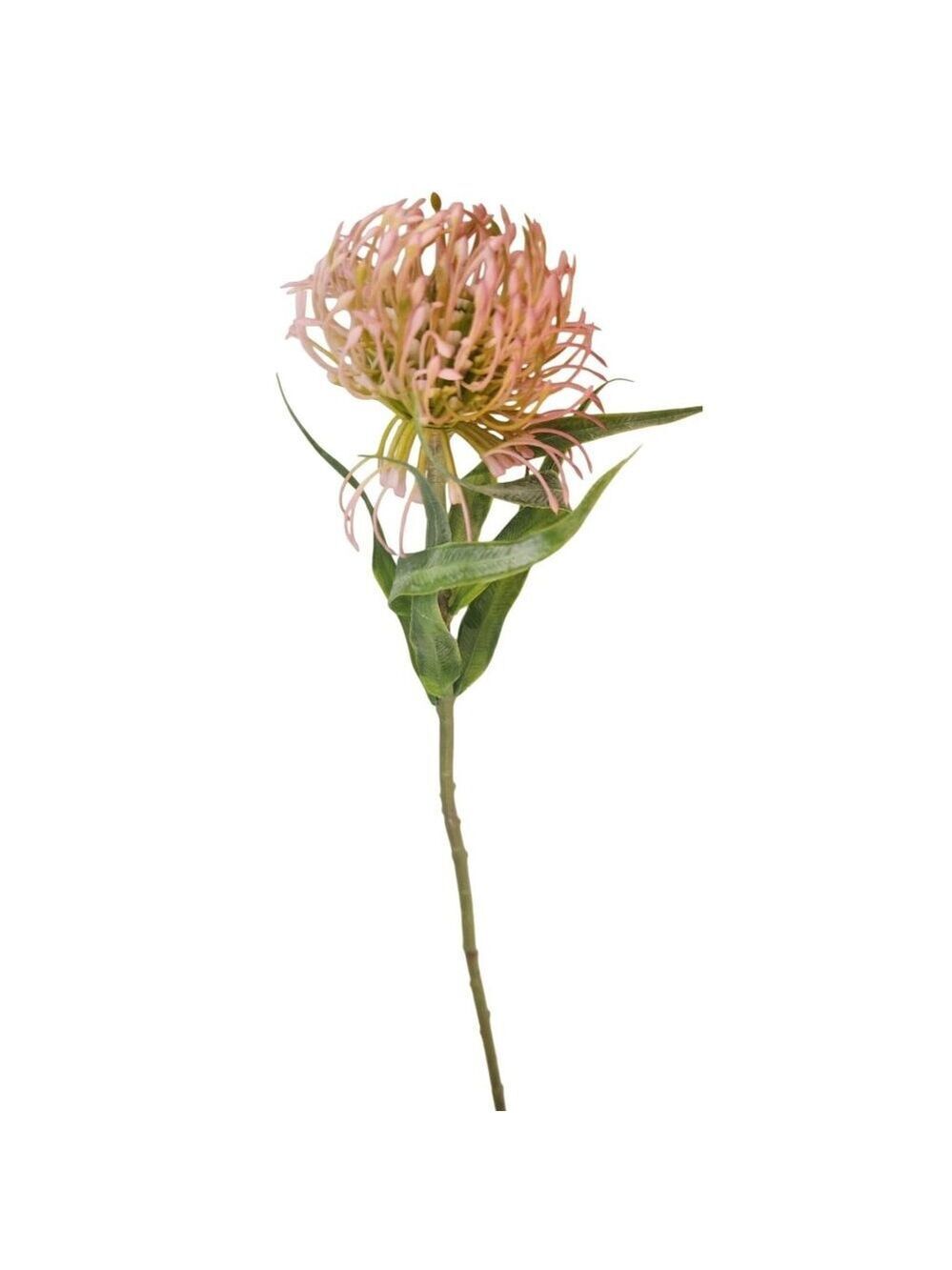 Pink Blush Pincushion Protea Stem Faux Protea Flower Artificial Floral Decor